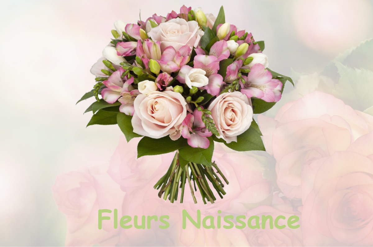 fleurs naissance VILLERS-SOUS-SAINT-LEU